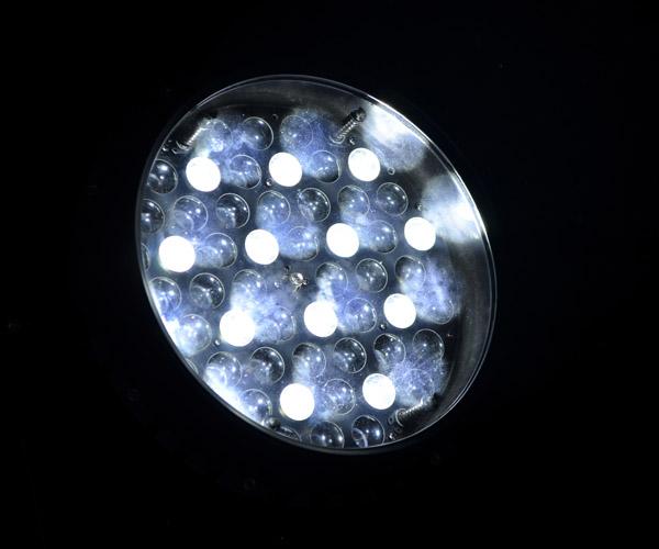 방수 IP65를 점화하는 옥외 크리 사람 램프 LED 동위 급상승 직업적인 LED 단계